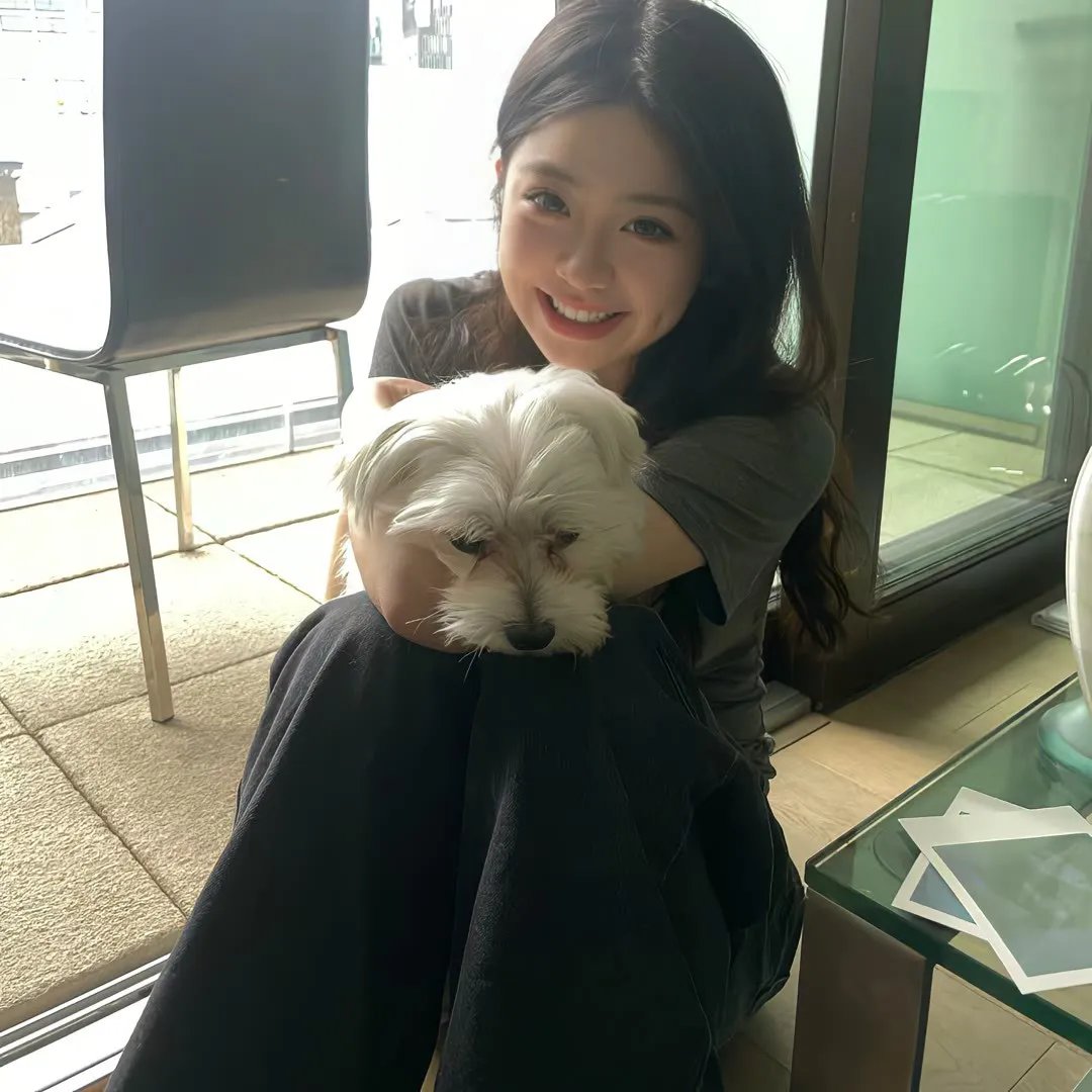 春天的紫丁香